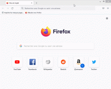 firefox_LyV4VoIf8v.gif (703×867 px, 605 KB)